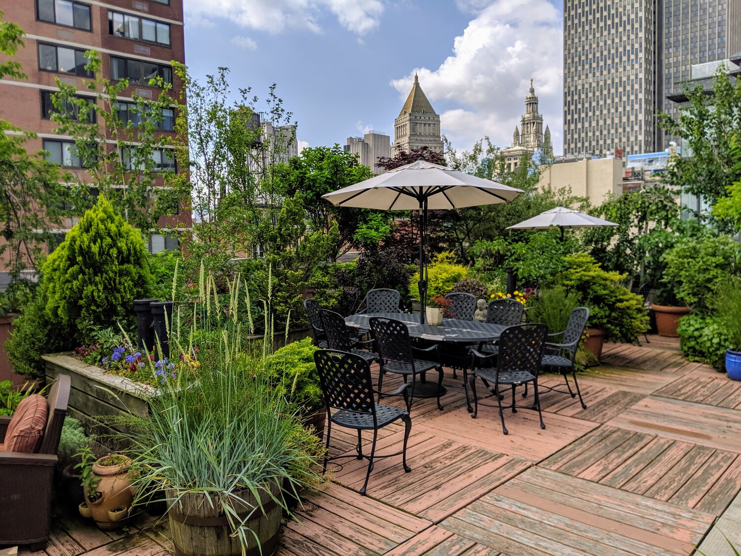 Forex Trading Robot for Automated Trading